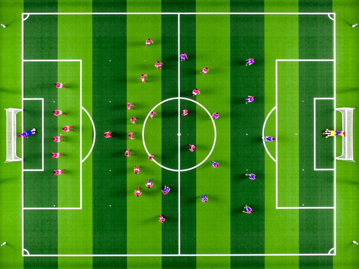 开云体育官网下载-国家队备战计划缺乏长期规划,国家队备战计划缺乏长期规划的原因 第3张